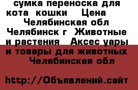  сумка переноска для кота (кошки) › Цена ­ 500 - Челябинская обл., Челябинск г. Животные и растения » Аксесcуары и товары для животных   . Челябинская обл.